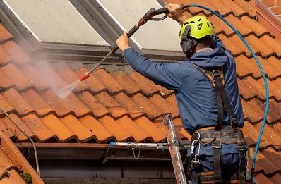 Démoussage et hydrofuge de toiture à Saligos
